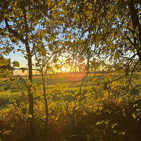 Lubuskie Jezioro Wilkowo (Swiebodzin)