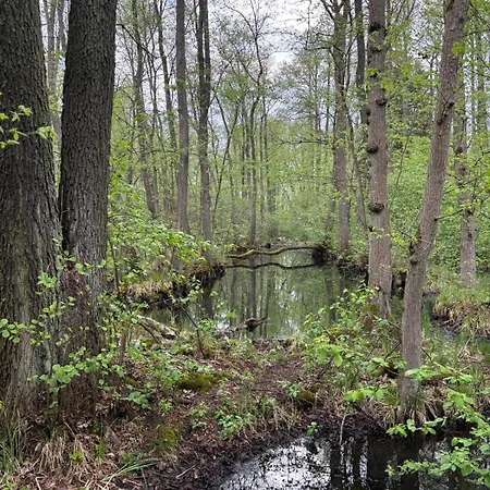 Lubuskie Jezioro Hébergement de vacances