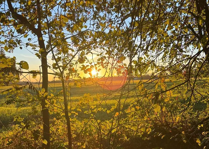 Lubuskie Jezioro Wilkowo (Swiebodzin)